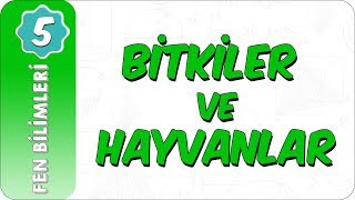 5 Sınıf Fen Bilimleri  Canlılar Dünyası Bitkiler ve Hayvanlar [upl. by Bessie626]