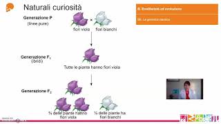 B6 Ereditarietà ed evoluzione  La genetica classica [upl. by Eileen105]