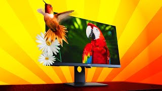 Best Designer Monitor  BENQ PD2700U 4K IPS Monitor Review [upl. by Aisile]