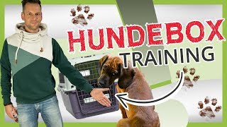 HUNDEBOXTraining Eingewöhnung Training und richtige Verwendung [upl. by Alver]