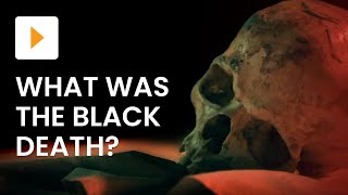 What Was The Black Death [upl. by Adnuahsor]