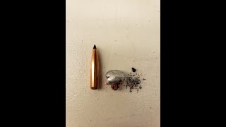 65 Creedmoor Swift Scirocco II 130 gr ballistics gel test [upl. by Burkitt]