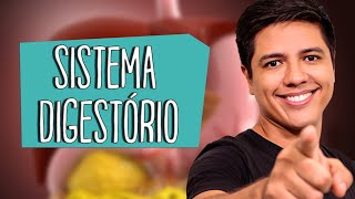 SISTEMA DIGESTÓRIO  Anatomia e Fisiologia  Prof Kennedy Ramos [upl. by Miller]