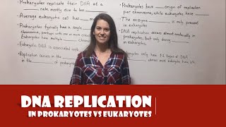 DNA Replication in Prokaryotes vs Eukaryotes [upl. by Crist]