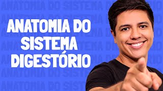 Anatomia do Sistema Digestório  Prof Kennedy Ramos [upl. by Odnomor]