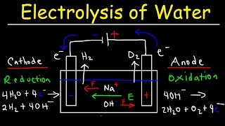 Electrolysis of Water  Electrochemistry [upl. by Attekram389]