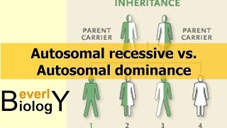 Autosomal Recessive vs Autosomal Dominance [upl. by Shiverick467]