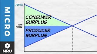 Exploring Equilibrium [upl. by Helms]