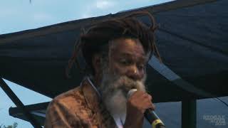 Don Carlos Live at Reggae on the River™ 2015 FULL SET [upl. by Philina]