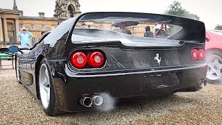 STRAIGHT PIPED Ferrari F50 revs [upl. by Ahsikan]